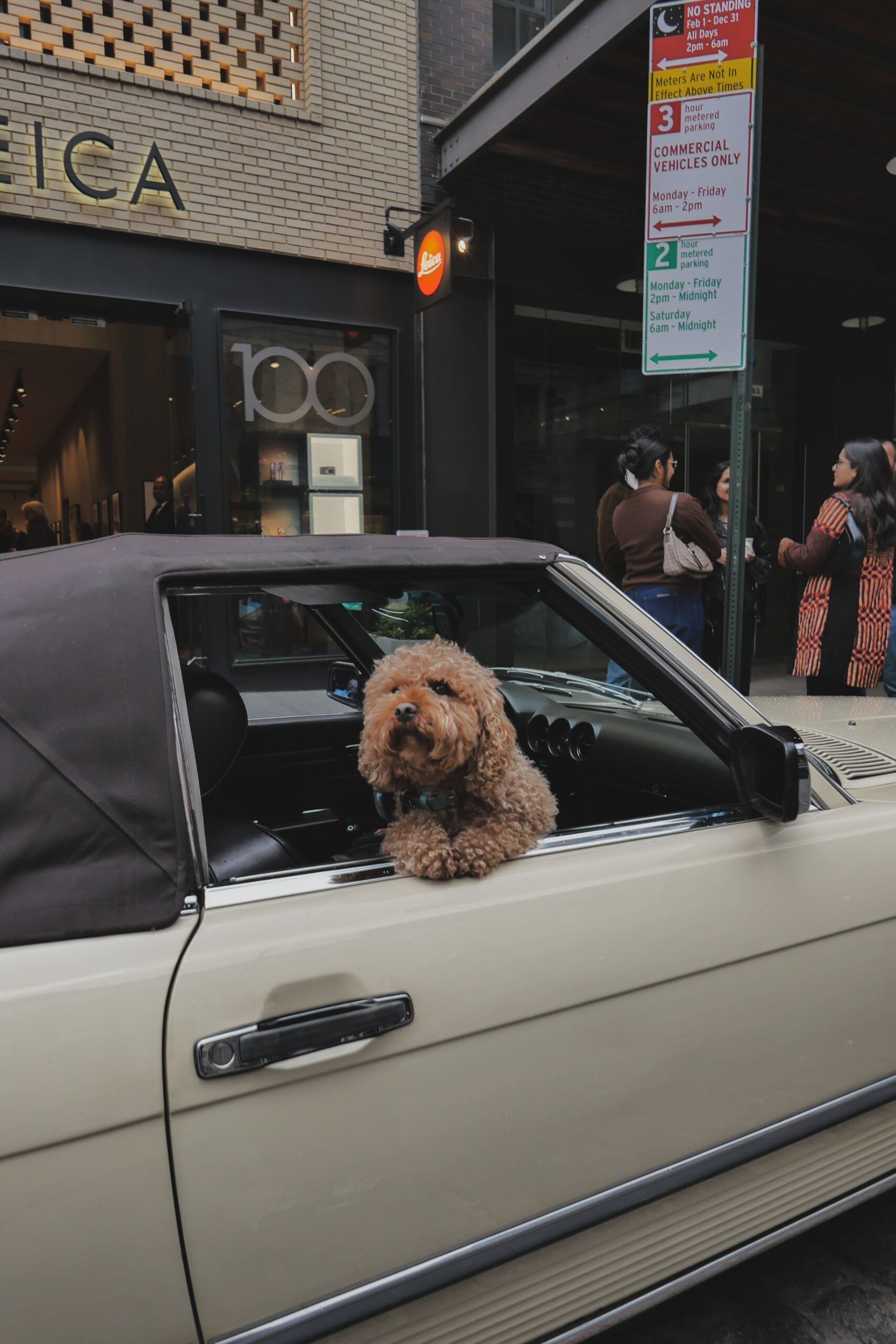 Summer-Leica-08